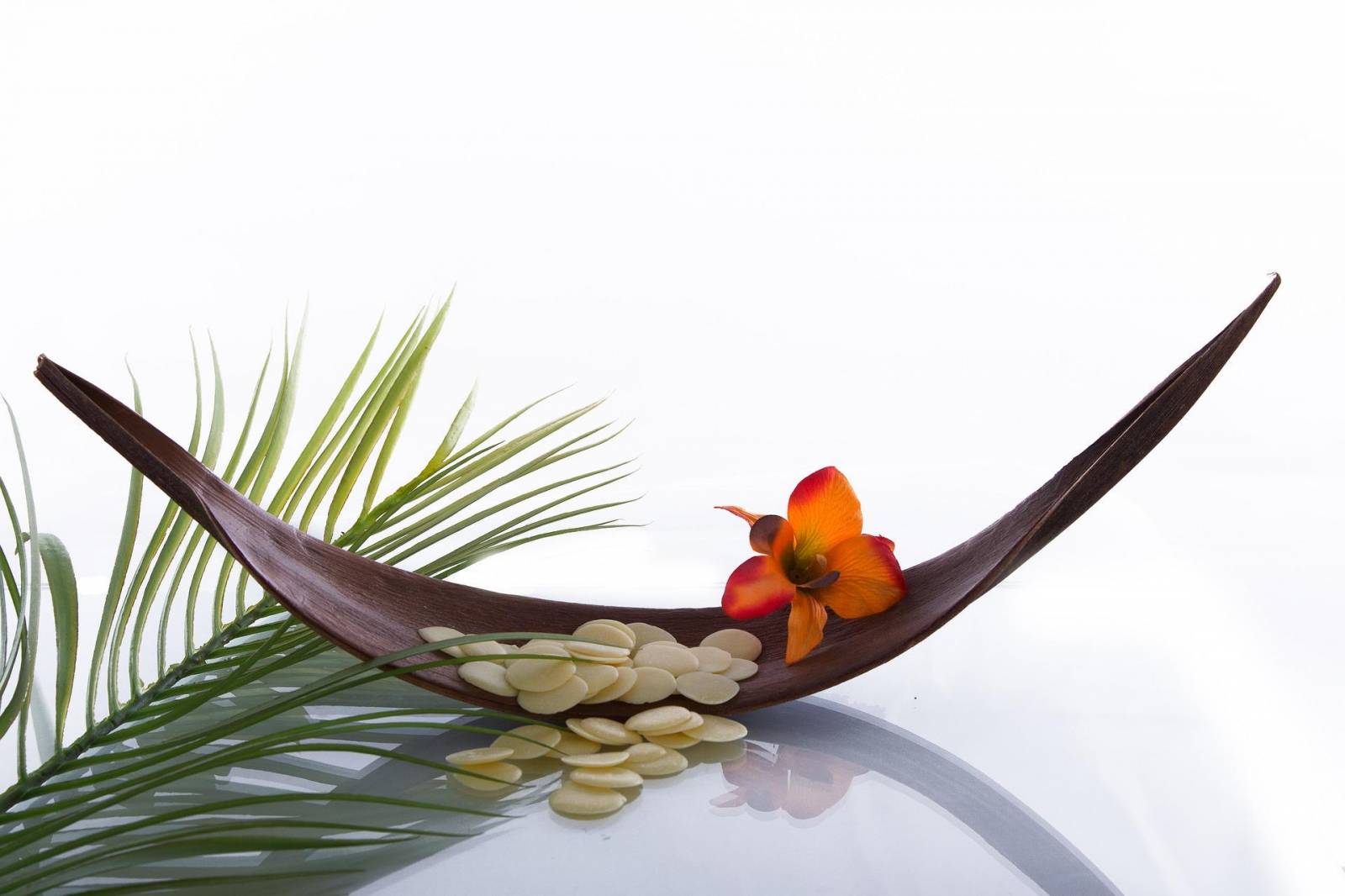 Brunch & Spa aux Thermes Marins Promicea de Marseille 2022