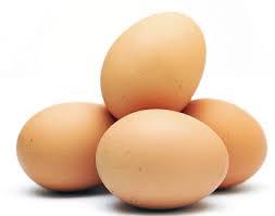 conservation des oeufs